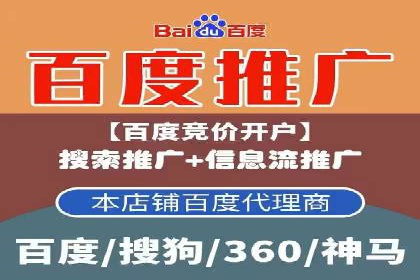 百度SEO与广告结合的多元化推广策略——多行业成功案例